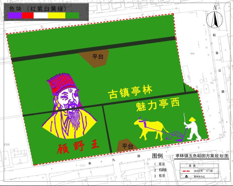 北斗卫星神定点，五彩水稻绘传奇